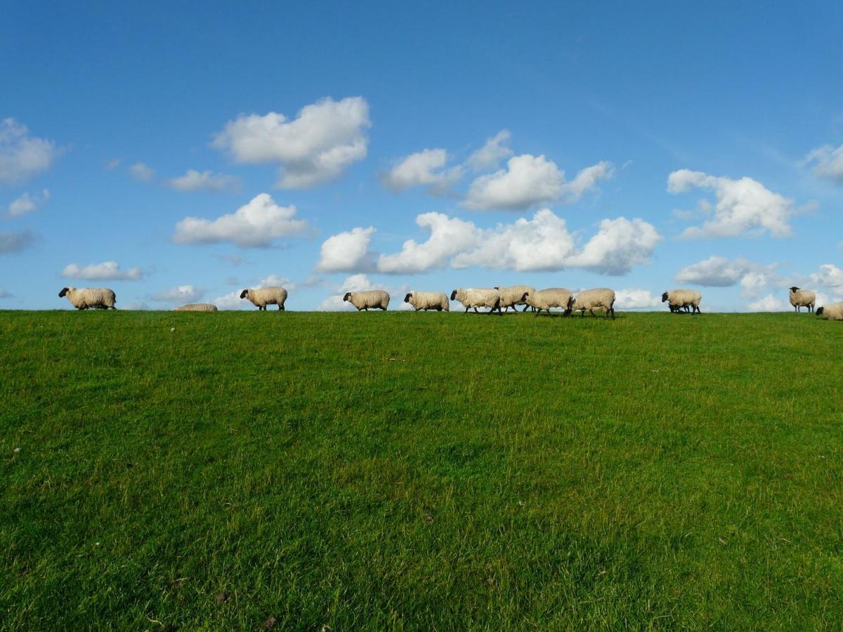 Nordsee Ferienwohnung Nord Dornumersiel Esterno foto